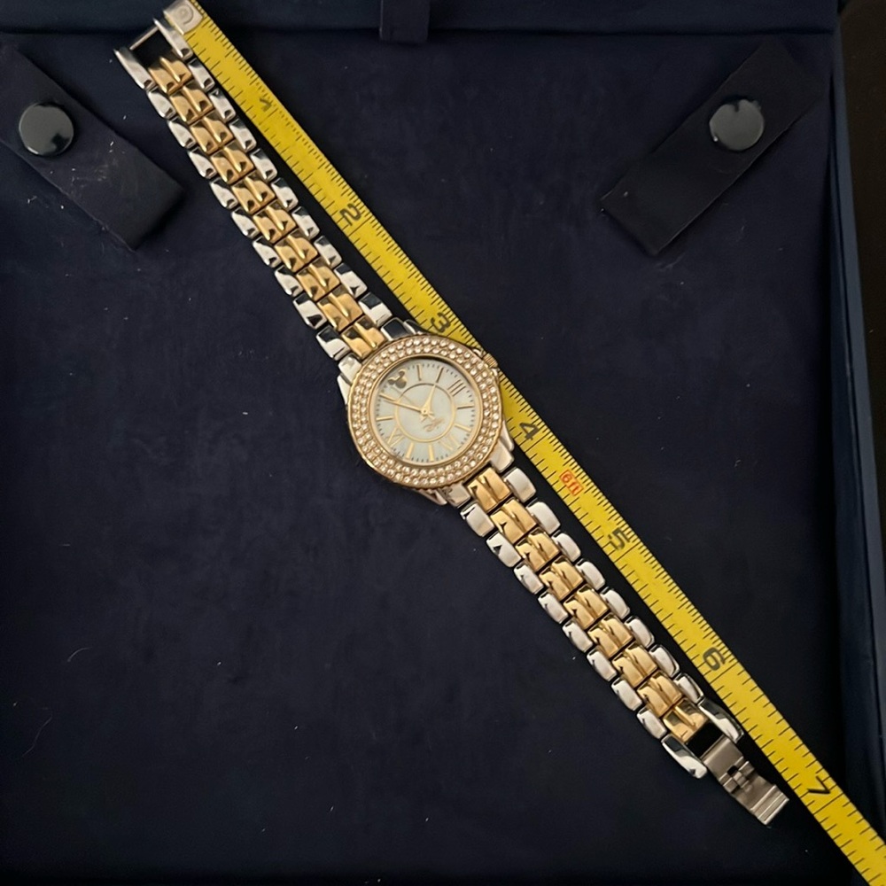 Walt Disney Watch